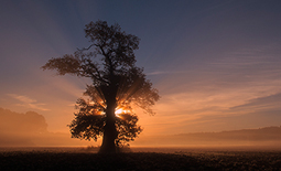 naturfoto landskap fotokoncept